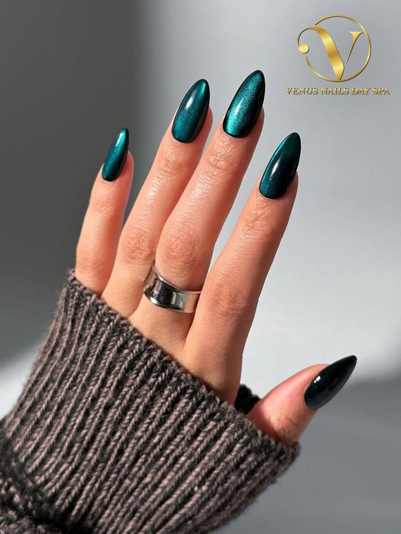 Venus Nails Day Spa