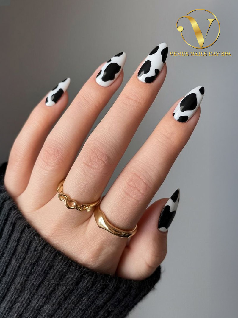 Venus Nails Day Spa
